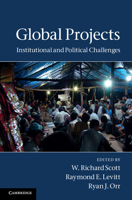 Global Projects; Institutional and Political Challenges (Hardback) 9781107004924