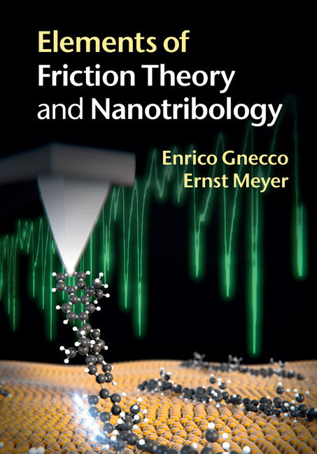 Elements of Friction Theory and Nanotribology (Hardback) 9781107006232