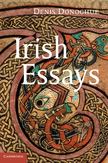 Irish Essays (Hardback) 9781107006904