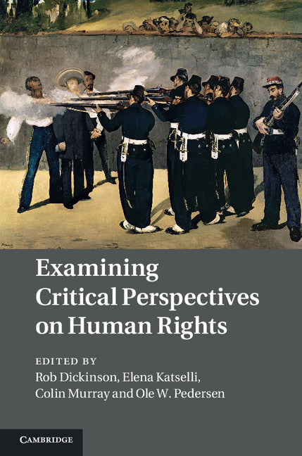 Examining Critical Perspectives on Human Rights (Hardback) 9781107006935