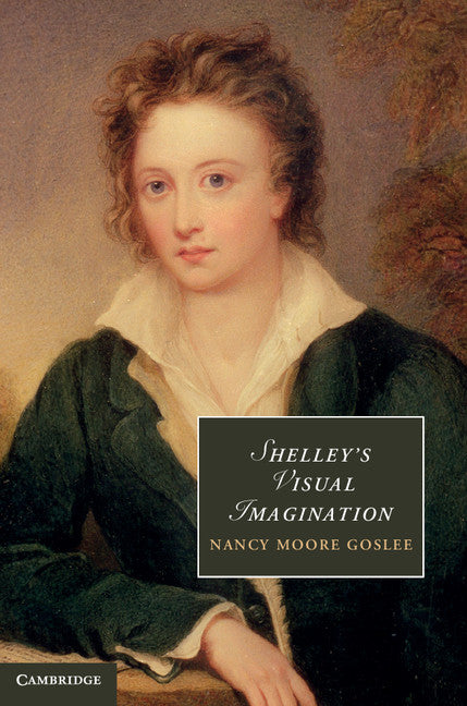 Shelley's Visual Imagination (Hardback) 9781107008380