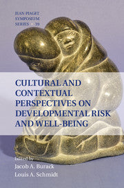 Cultural and Contextual Perspectives on Developmental Risk and Well-Being (Paperback / softback) 9781316500941