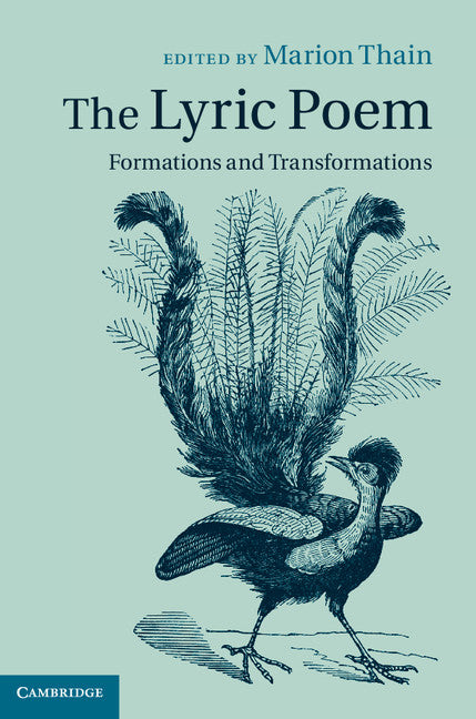 The Lyric Poem; Formations and Transformations (Hardback) 9781107010840