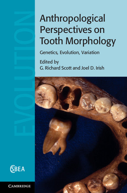 Anthropological Perspectives on Tooth Morphology; Genetics, Evolution, Variation (Hardback) 9781107011458