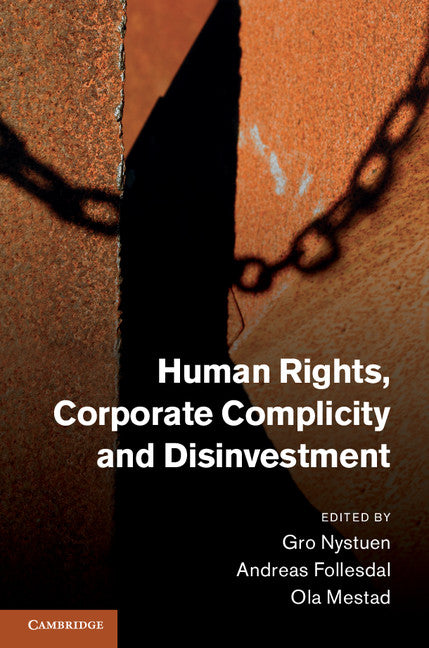 Human Rights, Corporate Complicity and Disinvestment (Hardback) 9781107012851