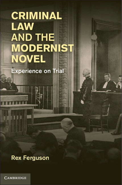Criminal Law and the Modernist Novel; Experience on Trial (Hardback) 9781107012974