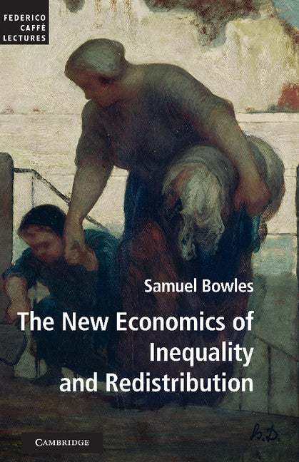 The New Economics of Inequality and Redistribution (Hardback) 9781107014039