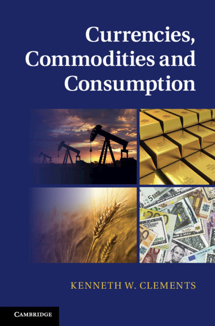 Currencies, Commodities and Consumption (Hardback) 9781107014763