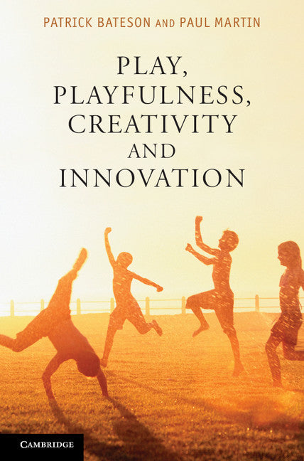 Play, Playfulness, Creativity and Innovation (Hardback) 9781107015135