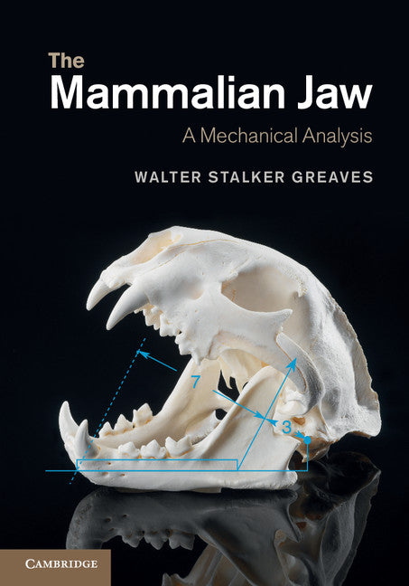 The Mammalian Jaw; A Mechanical Analysis (Hardback) 9781107016224