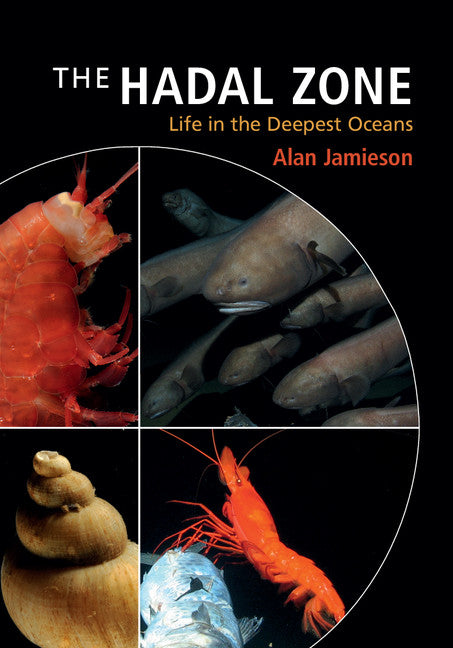 The Hadal Zone; Life in the Deepest Oceans (Hardback) 9781107016743