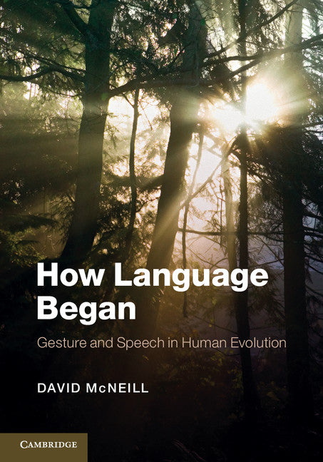 How Language Began; Gesture and Speech in Human Evolution (Hardback) 9781107021211