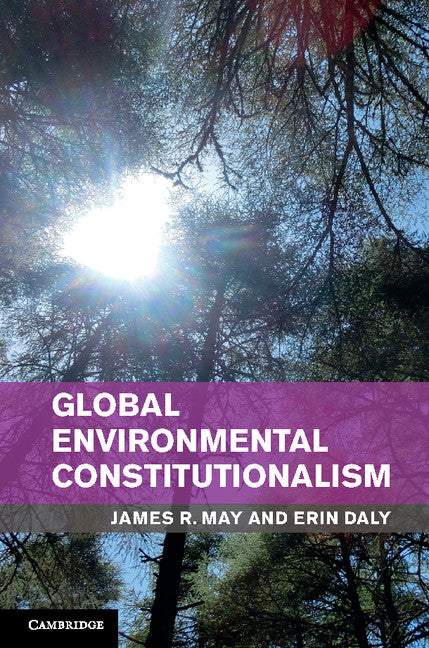 Global Environmental Constitutionalism (Hardback) 9781107022256