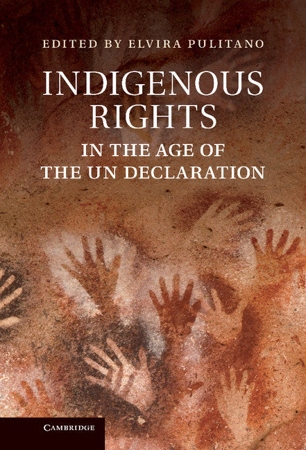 Indigenous Rights in the Age of the UN Declaration (Hardback) 9781107022447