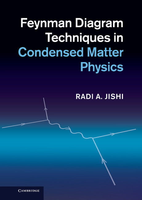 Feynman Diagram Techniques in Condensed Matter Physics (Hardback) 9781107025172