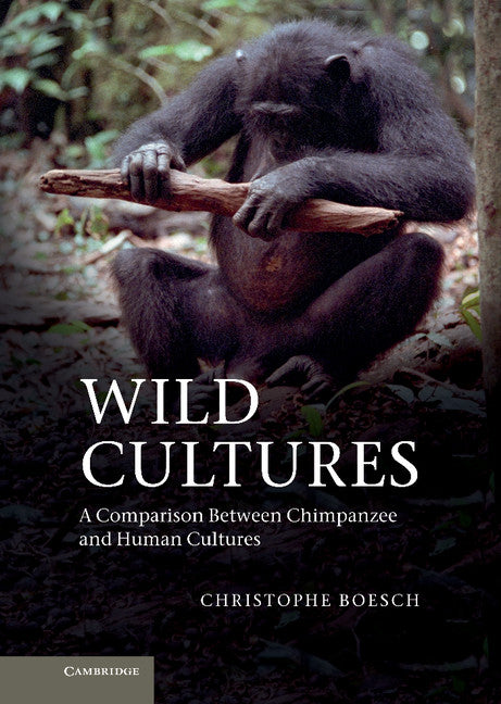 Wild Cultures; A Comparison between Chimpanzee and Human Cultures (Hardback) 9781107025370