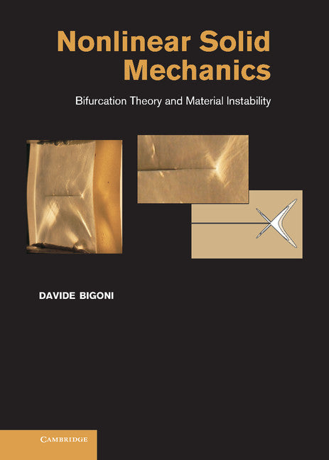 Nonlinear Solid Mechanics; Bifurcation Theory and Material Instability (Hardback) 9781107025417