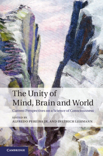 The Unity of Mind, Brain and World; Current Perspectives on a Science of Consciousness (Hardback) 9781107026292