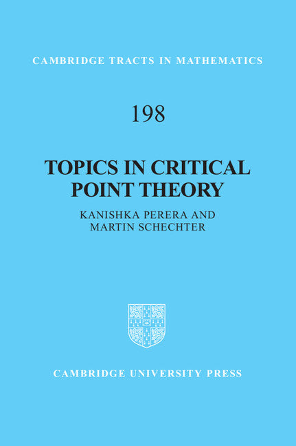 Topics in Critical Point Theory (Hardback) 9781107029668