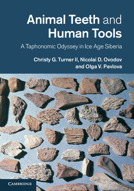 Animal Teeth and Human Tools; A Taphonomic Odyssey in Ice Age Siberia (Hardback) 9781107030299