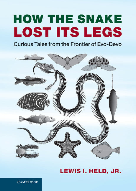 How the Snake Lost its Legs; Curious Tales from the Frontier of Evo-Devo (Hardback) 9781107030442