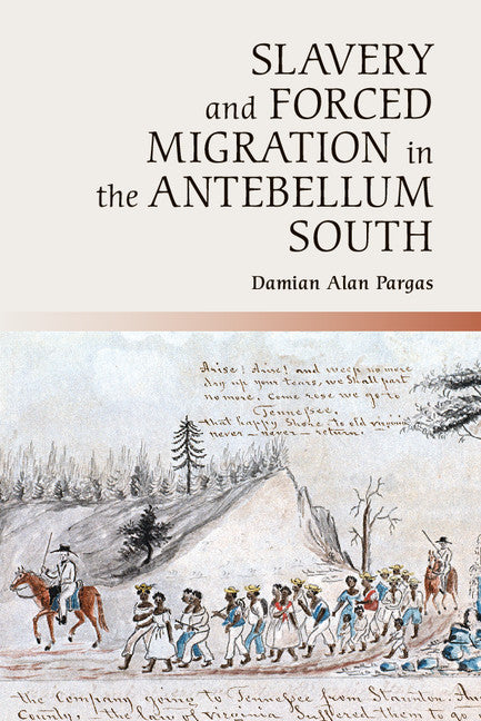 Slavery and Forced Migration in the Antebellum South (Hardback) 9781107031210