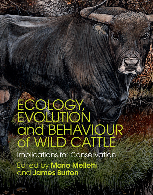 Ecology, Evolution and Behaviour of Wild Cattle; Implications for Conservation (Hardback) 9781107036642