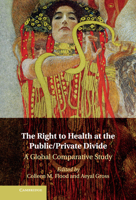 The Right to Health at the Public/Private Divide; A Global Comparative Study (Hardback) 9781107038301