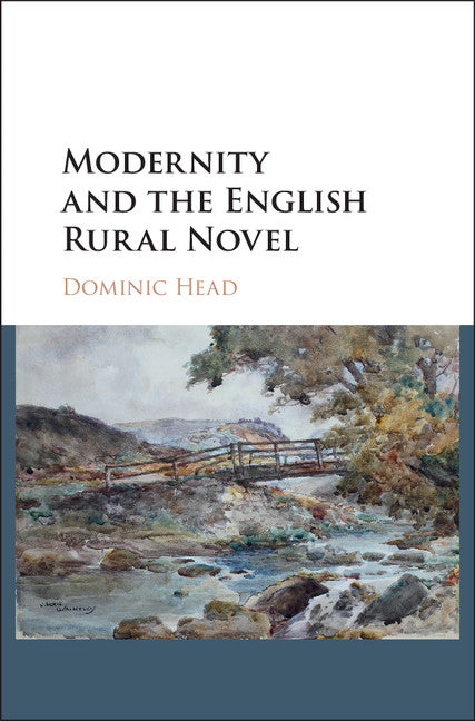 Modernity and the English Rural Novel (Hardback) 9781107039131