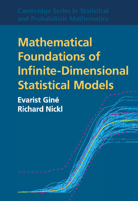 Mathematical Foundations of Infinite-Dimensional Statistical Models (Hardback) 9781107043169