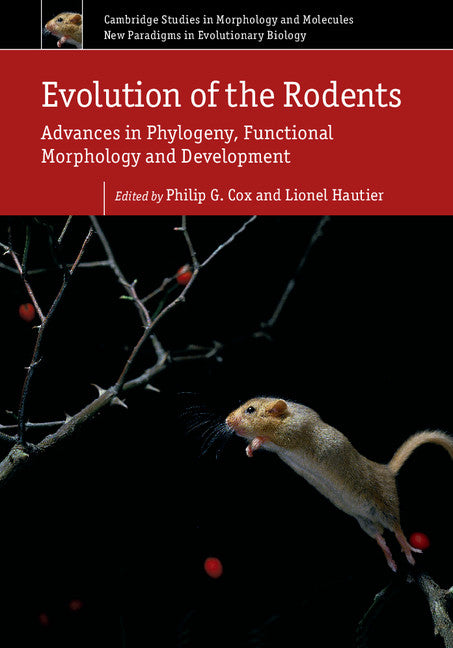 Evolution of the Rodents: Volume 5; Advances in Phylogeny, Functional Morphology and Development (Hardback) 9781107044333