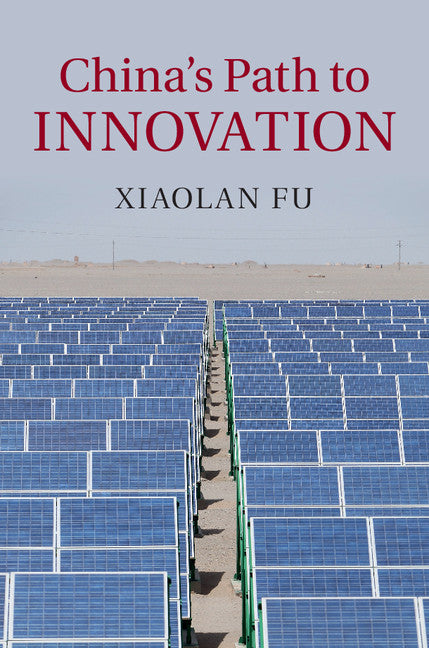 China's Path to Innovation (Hardback) 9781107046993