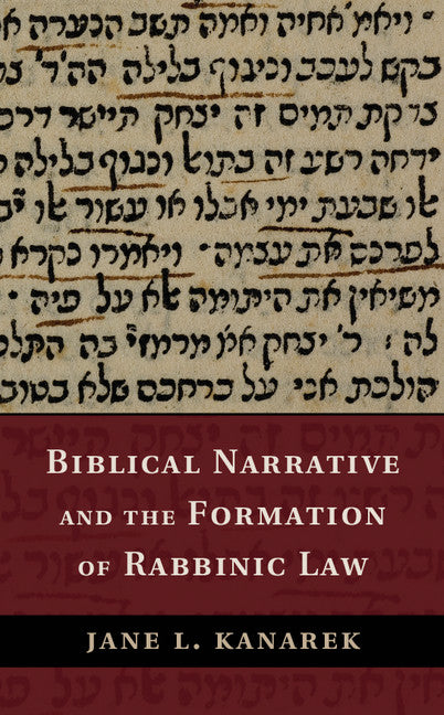 Biblical Narrative and the Formation of Rabbinic Law (Hardback) 9781107047815