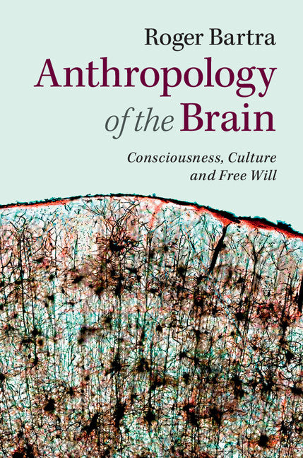 Anthropology of the Brain; Consciousness, Culture, and Free Will (Hardback) 9781107060364