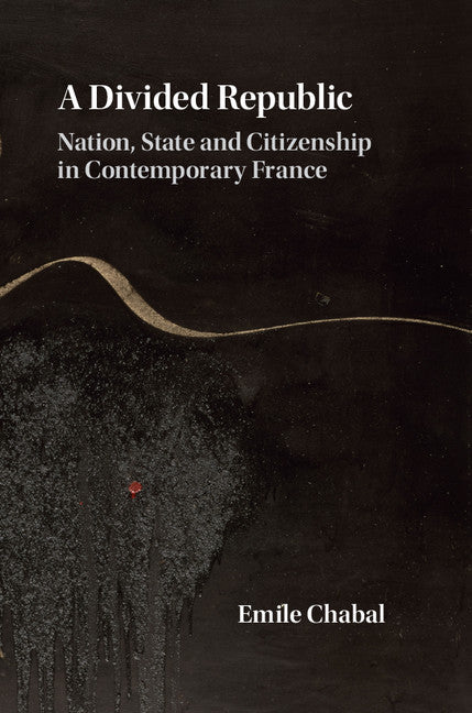 A Divided Republic; Nation, State and Citizenship in Contemporary France (Hardback) 9781107061514