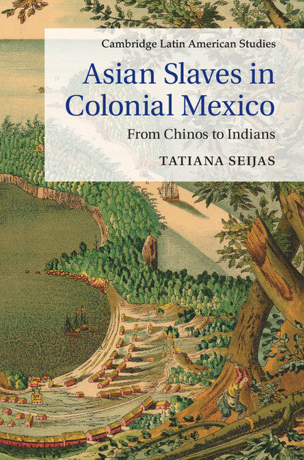 Asian Slaves in Colonial Mexico; From Chinos to Indians (Hardback) 9781107063129