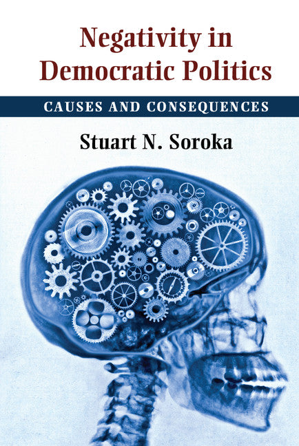 Negativity in Democratic Politics; Causes and Consequences (Hardback) 9781107063297