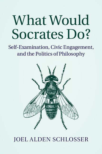 What Would Socrates Do?; Self-Examination, Civic Engagement, and the Politics of Philosophy (Hardback) 9781107067424