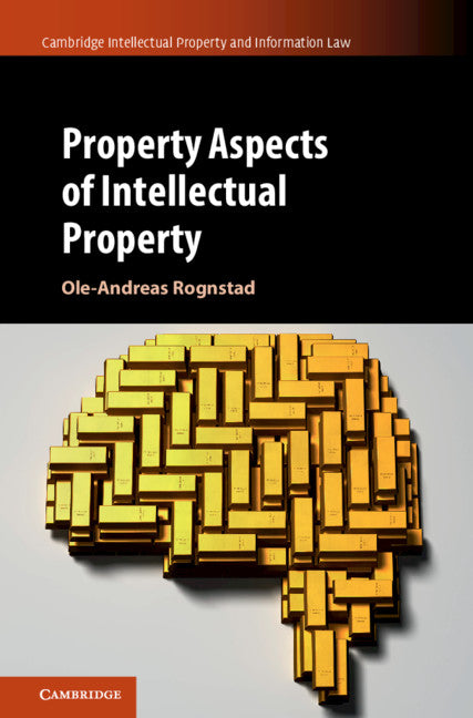 Property Aspects of Intellectual Property (Hardback) 9781107072053