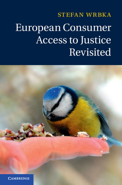 European Consumer Access to Justice Revisited (Hardback) 9781107072374