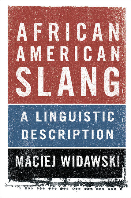 African American Slang; A Linguistic Description (Hardback) 9781107074170