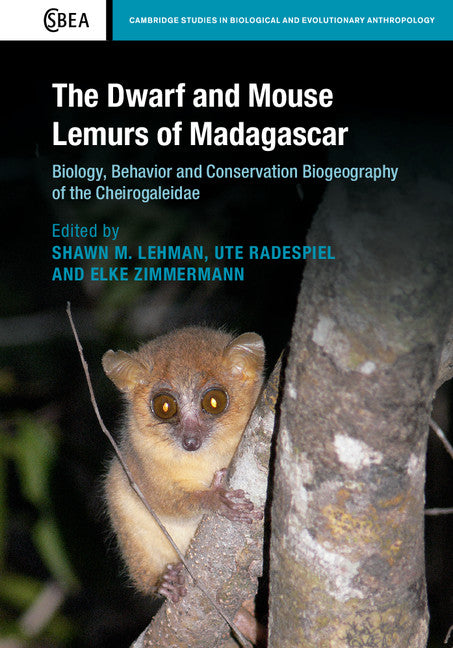 The Dwarf and Mouse Lemurs of Madagascar; Biology, Behavior and Conservation Biogeography of the Cheirogaleidae (Hardback) 9781107075597