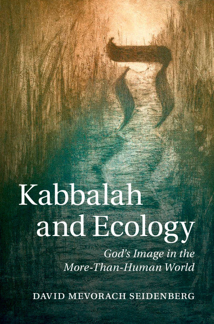 Kabbalah and Ecology; God's Image in the More-Than-Human World (Hardback) 9781107081338