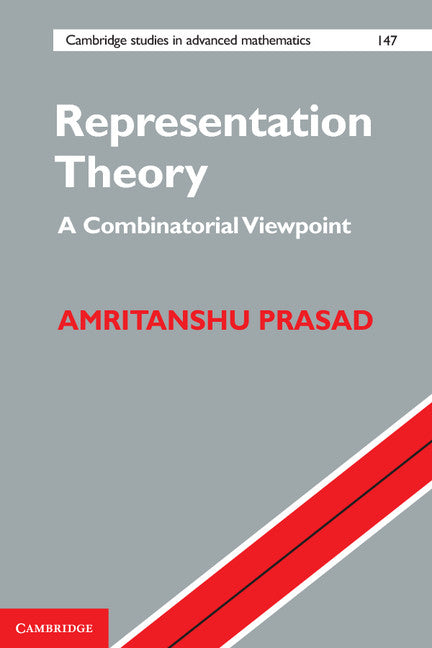 Representation Theory; A Combinatorial Viewpoint (Hardback) 9781107082052