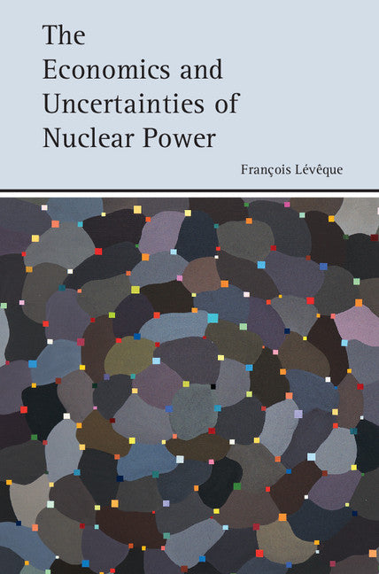 The Economics and Uncertainties of Nuclear Power (Hardback) 9781107087286