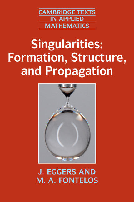 Singularities: Formation, Structure, and Propagation (Hardback) 9781107098411