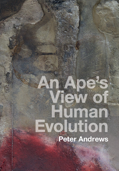 An Ape's View of Human Evolution (Hardback) 9781107100671