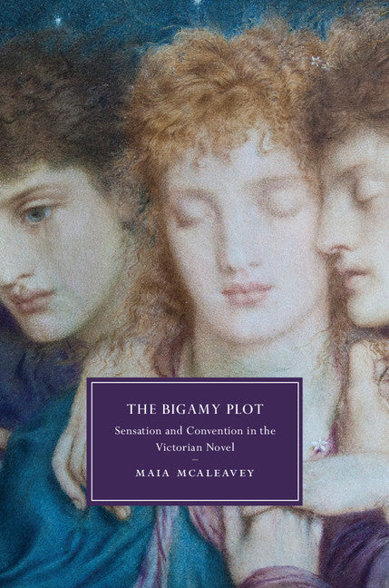 The Bigamy Plot; Sensation and Convention in the Victorian Novel (Hardback) 9781107103160