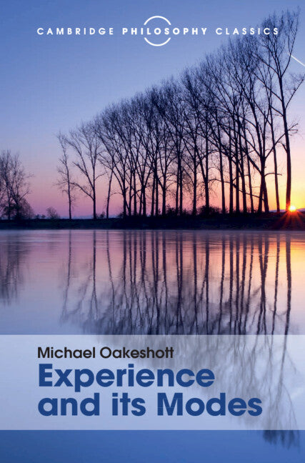 Experience and its Modes (Hardback) 9781107113589