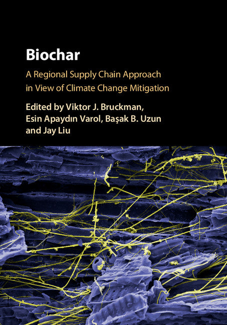 Biochar; A Regional Supply Chain Approach in View of Climate Change Mitigation (Hardback) 9781107117099